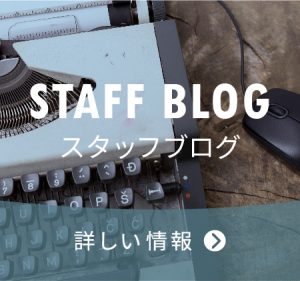 スタッフブログ