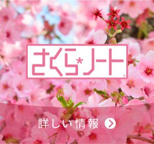 さくらノート